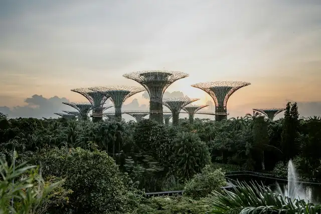 Gardens by the Bay